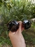 ROUND FLEX 2447 - lentes rb olavarria