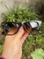 Wayfarer carey
