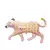GLOBO LEOPARDO GIGANTE X 1 UN. (ROSA/DORADO)