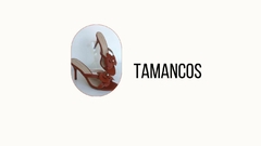 Banner da categoria TAMANCOS