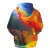 Bandeira animal leão das mulheres dos homens crianças hoodies impressão 3d mo