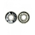 Rolamento BLACK SHEEP - loja online