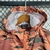 Corta Vento Nike - Camuflado - Brabo Imports