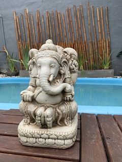 GANESHA en internet