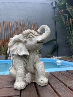 BUDA/ ELEFANTITO