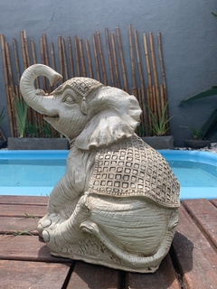 BUDA/ ELEFANTITO en internet