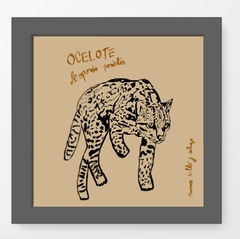Ocelote