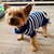 roupas quentes para cães pequenos casacos