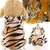 roupas para animais super divertida - Pitbulltoptv