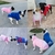 Imagem do moletom pet