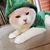 roupas de inverno pet
