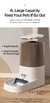 alimentador pet automático 