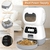 Alimentador Automático Inteligente Para Pets
