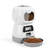 Alimentador Automático Inteligente Para Pets