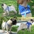 Imagem do Peitoral Com Guia para Caes E Gatos