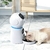 Alimentador Automático Pet APP Smart