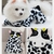 Imagem do roupas de inverno pet