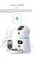 Alimentador Automático Pet APP Smart na internet