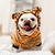 roupas de inverno pet na internet