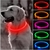 coleira de cachorro brilhante - comprar online