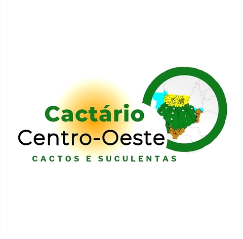 Carrossel 1