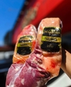 Fraldinha Angus TERNEIRO