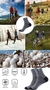 5 par de fibra de bambu outono inverno homens meias respirável algodão esporte - menucriativo