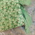 Caderno Artesanal - Amiable Flower Green na internet