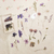 Caixa de Adesivos/stickers - Flores - comprar online