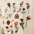 Caixa de Adesivos/stickers - Flores