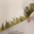Washi Tape - Flores - comprar online