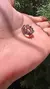 FALANGE FLORES