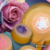 "RosaDerm: Cuidado Floral para una Piel Radiante"