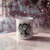 caneca primeiramente café/chá - gato soturna arte - gatosoturna