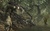 Call of Duty World at War (Xbox 360) - loja online