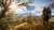 Assassin's Creed: Valhalla - Carmo Games Digital
