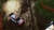 RiMS Racing x WRC 10 - loja online