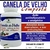 Canela de velho Composta 60cps - comprar online
