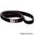 Ct453 - Correia Dentada - Continental * - comprar online