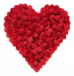 PÉTALAS VERMELHAS EM POLIESTER 1000 UNIDADES