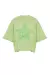 Remera Boxy Estrella BESTIA