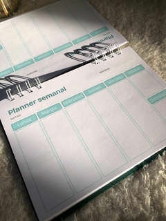 Planner Organizando mi éxito en internet