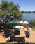 RIO NEGRO - comprar online