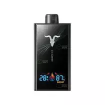V300 BLACK STRAWBERRY KIWI - tienda online