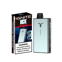 V400 ICY RASPBERRY - comprar online