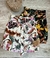 Pollera Dafne