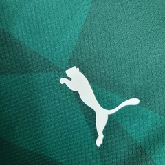 Camisa Masculina Palmeiras | 2023 - loja online