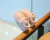 Crianças de design branco tênis crianças meninas meninos malha respirável re