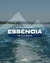 Imagem do Pontoon Canastra Boats 900
