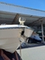 Lancha Fs 265 Solaris na internet